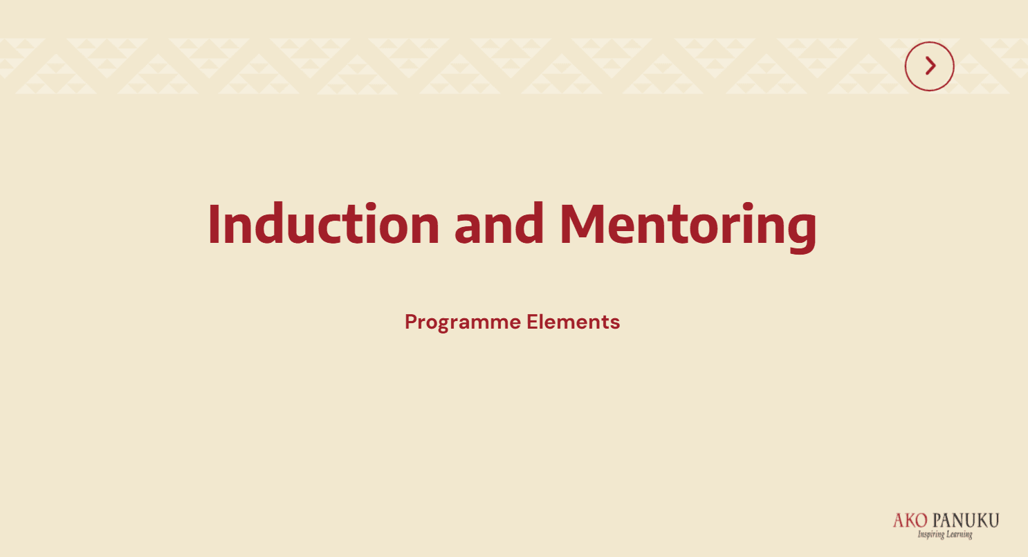 Induction and Mentoring - Overview of the Programme Elements