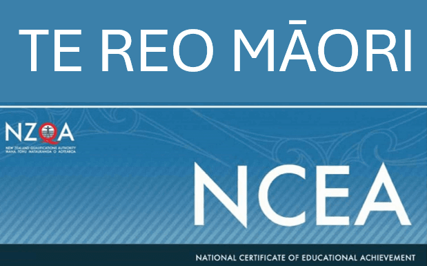 AS91284 - Te Reo Māori NCEA Level 2 Practice Assessment Activity (Version 2)