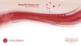 Matariki Virtual Background