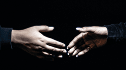 QPT for Kaiako: Professional Relationships