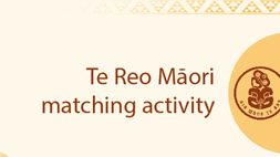 Te Reo Māori - matching activity