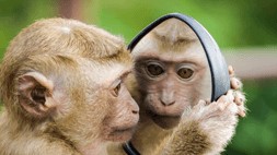 Leader Self-reflection: Teaching