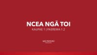 NCEA Level 1 - Ngā Toi (Paerewa 1.2)