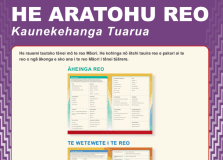 He Aratohu Reo - Kaunekehanga Tuarua